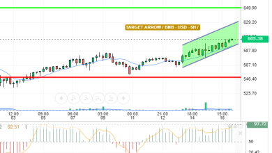 BNB / USD