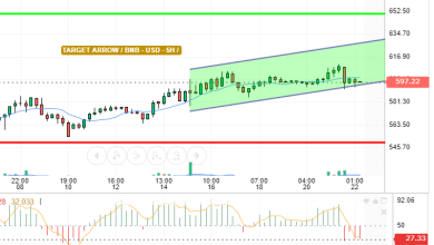 BNB / USD