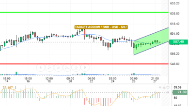 BNB / USD