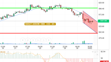 BNB / USD