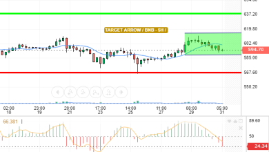 BNB / USD