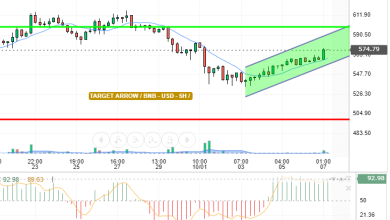 BNB / USD