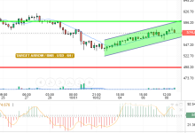 BNB / USD