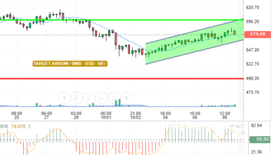 BNB / USD