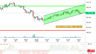 BNB / USD