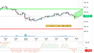 BNB / USD