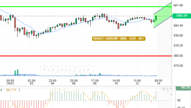 BNB / USD