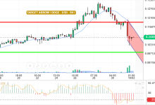 DOGE / USD