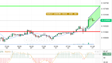 DOGE / USD