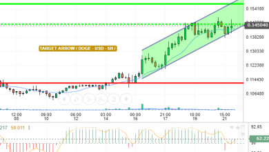 DOGE / USD