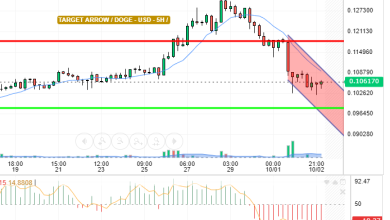 DOGE / USD