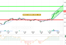 DOGE / USD