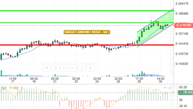 DOGE / USD