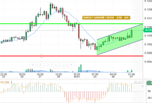 DOGE / USD