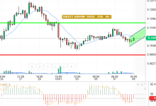 DOGE / USD