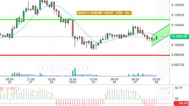 DOGE / USD