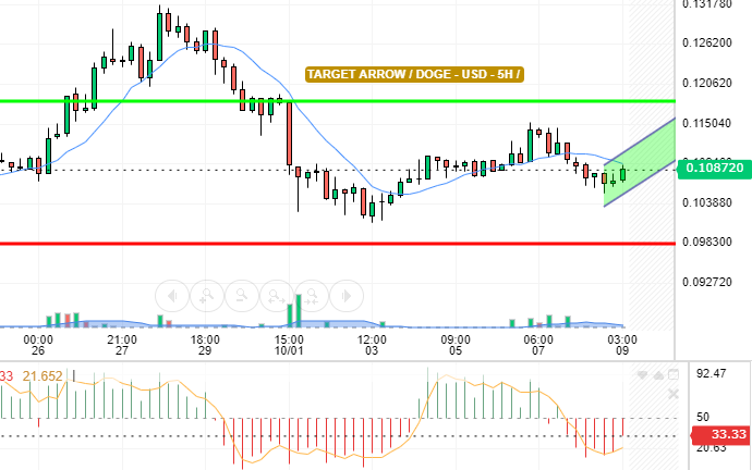 DOGE / USD