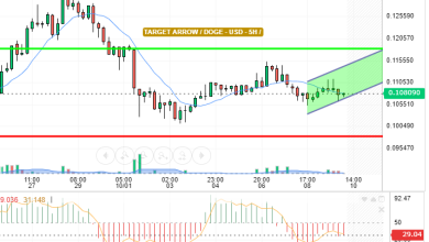 DOGE / USD