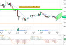 DOGE / USD