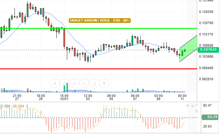 DOGE / USD