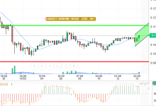 DOGE / USD