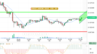 DOGE / USD