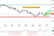 EUR / USD