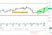 WTI / USD