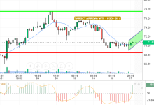 WTI / USD