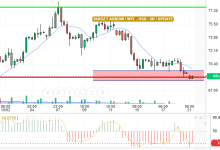 WTI / USD