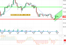 WTI / USD