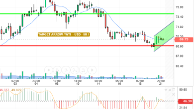 WTI / USD