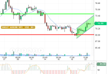 WTI / USD