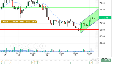 WTI / USD