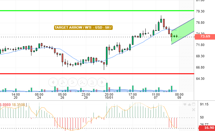 WTI / USD