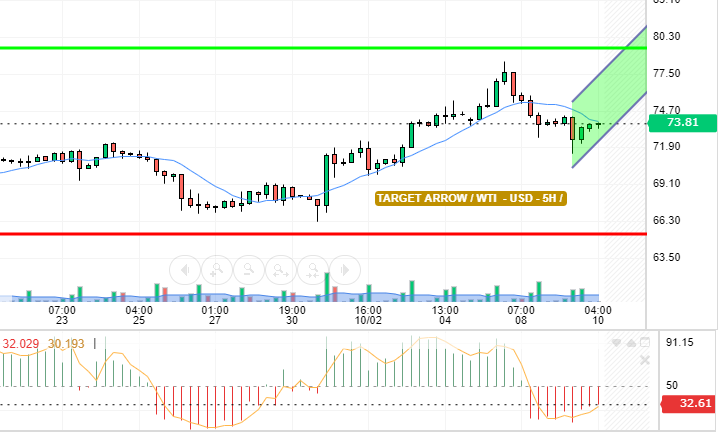 WTI / USD