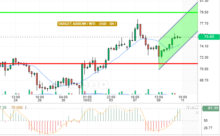 WTI / USD