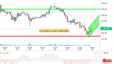 BNB / USD