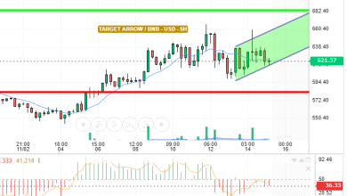 BNB / USD