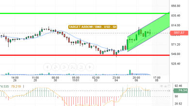 BNB / USD