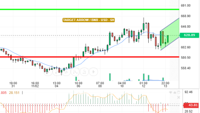 BNB / USD