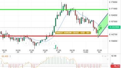 DOGE / USD