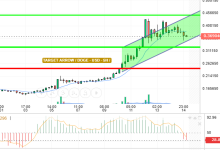 DOGE / USD