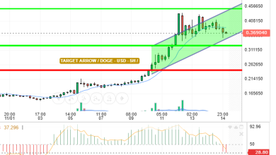 DOGE / USD