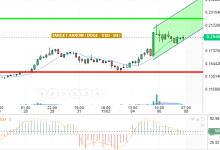 DOGE / USD