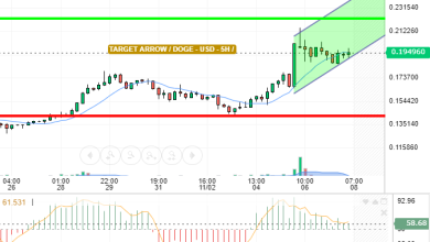 DOGE / USD