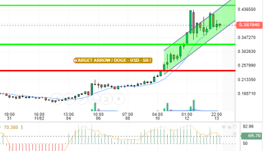 DOGE / USD