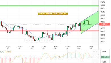 EUR / USD