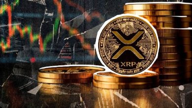 XRP يصل إلى مستوى دعم قوي