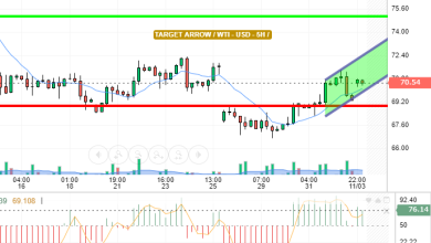 WTI / USD